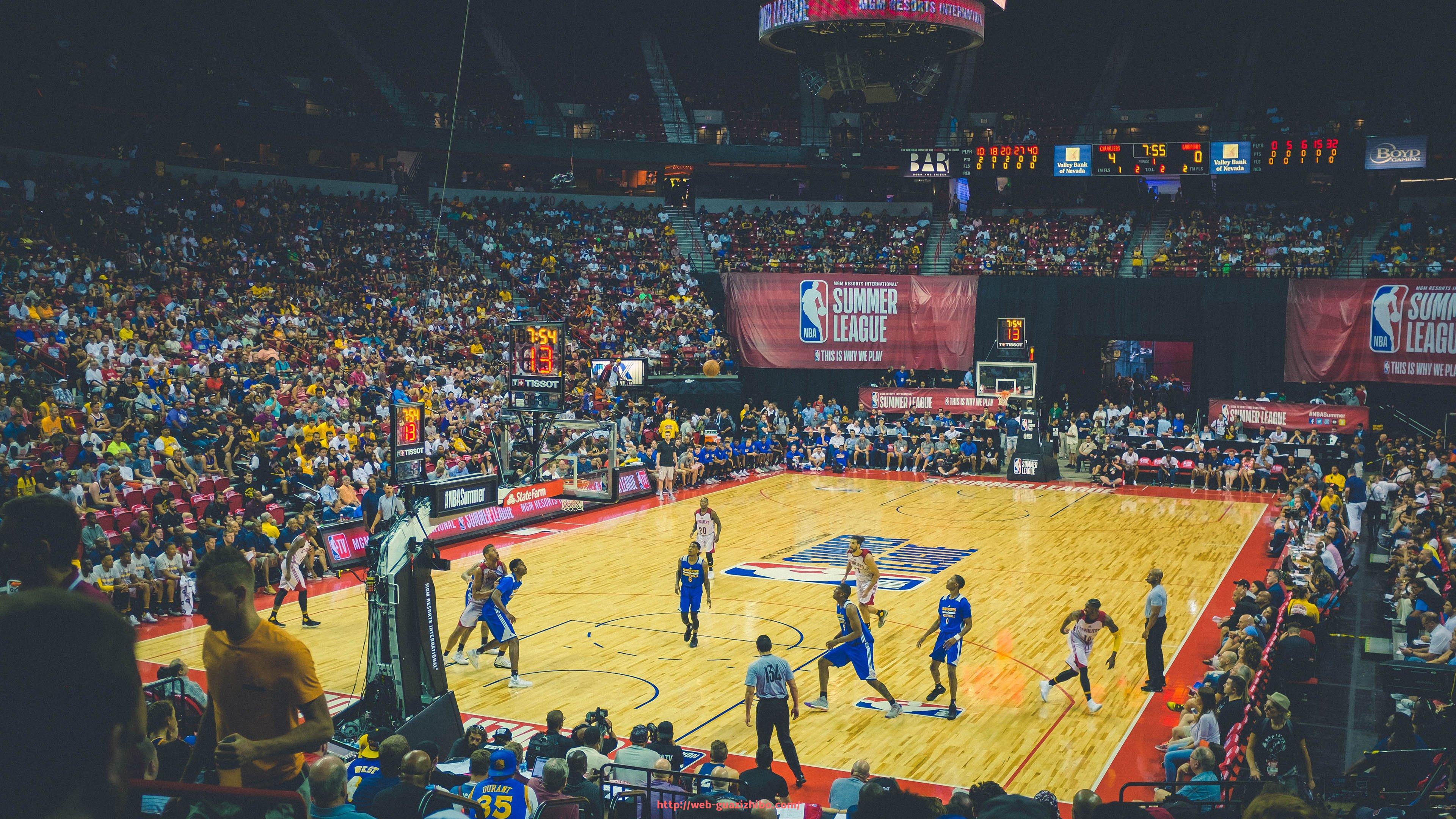 瓜子直播-德甲哪支球队拥有最狂热球迷？德国足球激情文化全面剖析